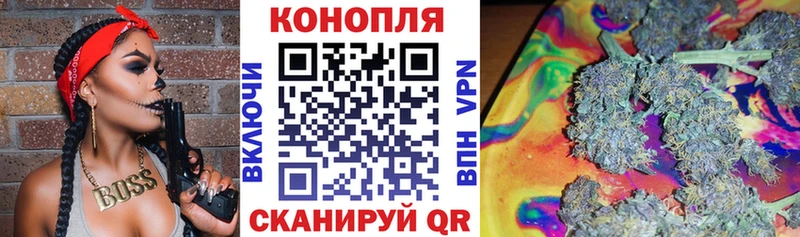 где можно купить наркотик  Лакинск  omg зеркало  Марихуана сатива 